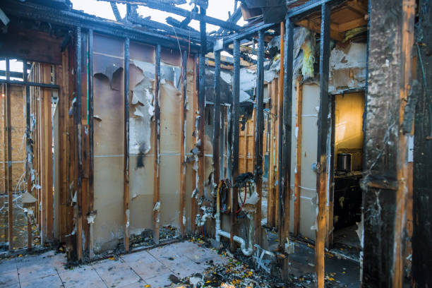 Professional Fire Damage Repair technician working in Brandon, FL