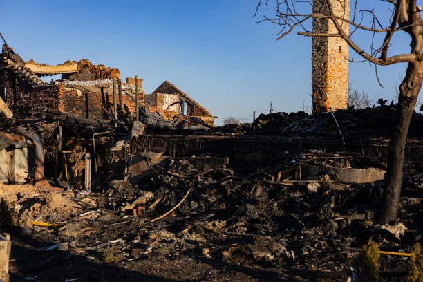 Reliable Fire Damage Repair contractor in Brandon, FL by Fire Damage Doption