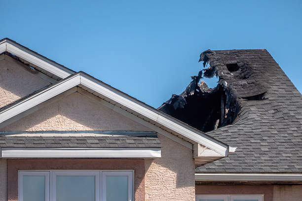 Top rated local Fire Damage Repair specialists in Brandon, FL